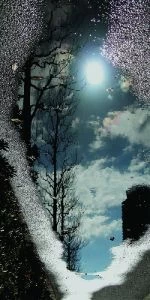 Дверь с фотопечатью Природа П2