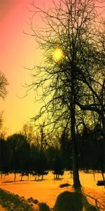 Дверь с фотопечатью Природа П81
