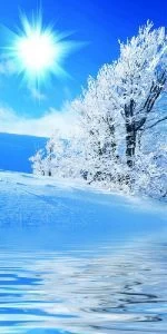 Дверь с фотопечатью Природа П10