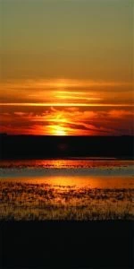Дверь с фотопечатью Природа П78