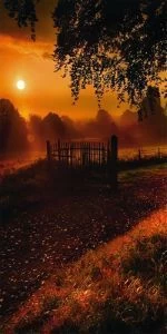 Дверь с фотопечатью Природа П30