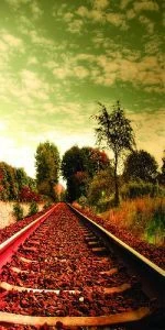 Дверь с фотопечатью Природа П24