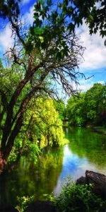 Дверь с фотопечатью Природа П79