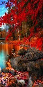 Дверь с фотопечатью Природа П68