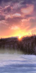 Дверь с фотопечатью Природа П53
