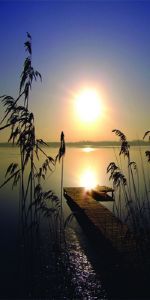 Дверь с фотопечатью Природа П52
