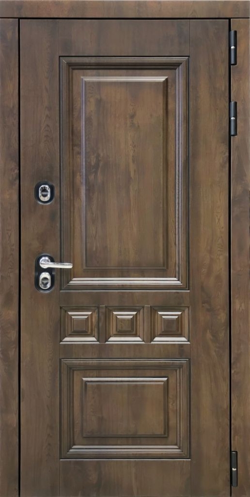 Входная дверь ДвериПРО Аура Без фрезеровки Дуб арктик горизонт DPRO195652 внешняя сторона