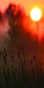 Дверь с фотопечатью Природа П108